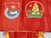 Cờ đoàn đội 